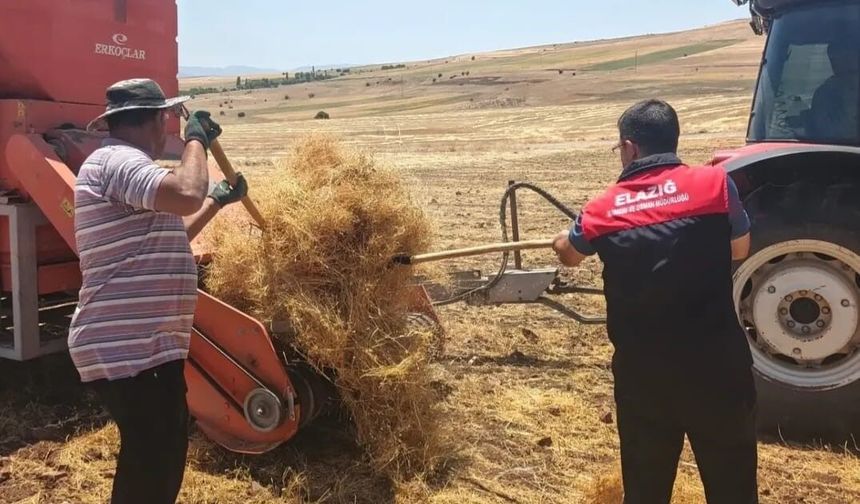 MERCİMEK TOHUMLUKLARINDA HASAT KONTROLLERİ