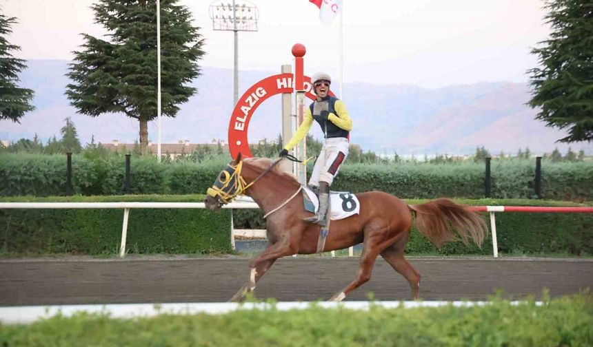 NESİB KAZANDI