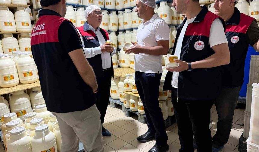 PEYNİR ÜRETİCİLERİNE DENETİM