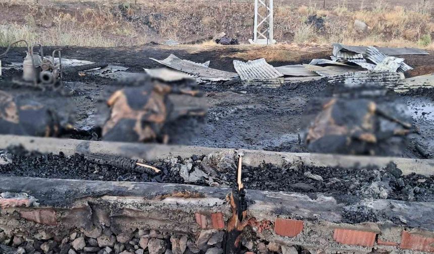 10 GÜN ÖNCE ALDIKLARI 3 İNEK YANGINDA TELEF OLDU