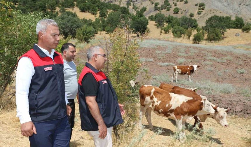 HAYVANCILIĞA DESTEK PROJESİ SÜRÜYOR