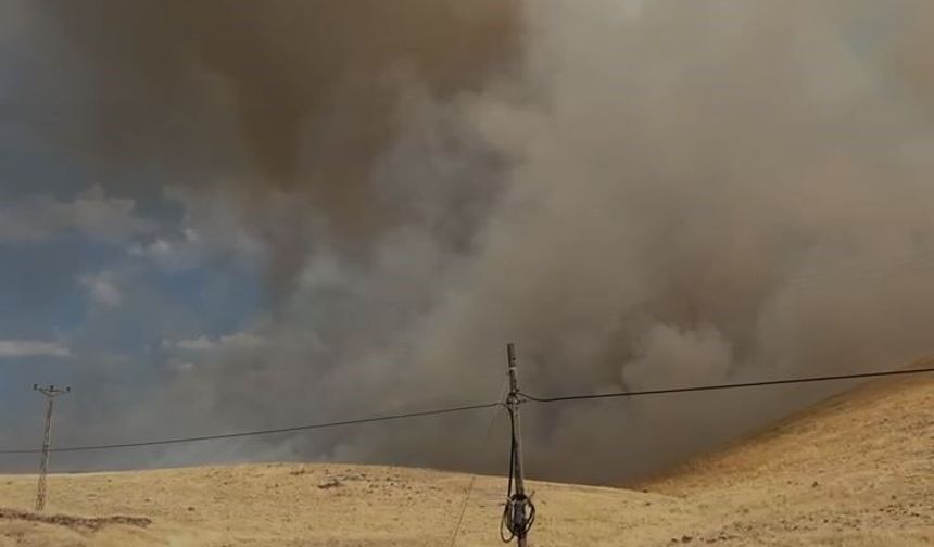KARAKOÇAN'DA ÖRTÜ YANGINI