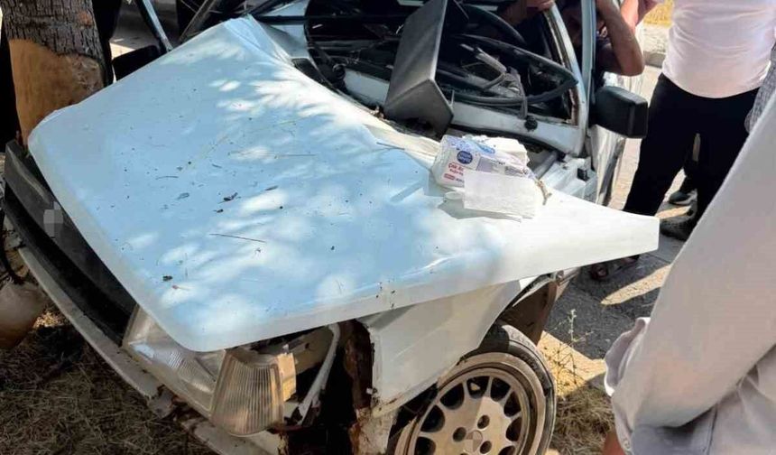 OTOMOBİL AĞACA ÇARPTI