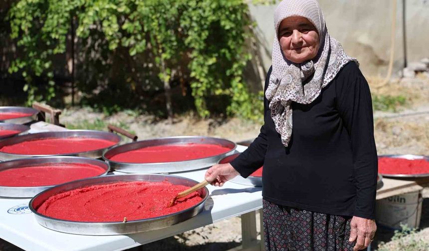 DOMATES SALÇASI HAZIRLANIYOR