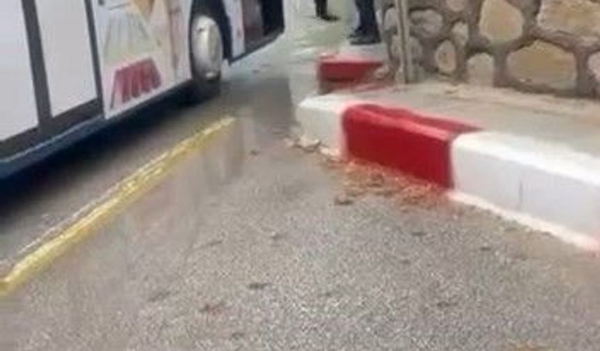 OTOBÜS ŞOFÖRÜ İLE YOLCU KAVGA ETTİ