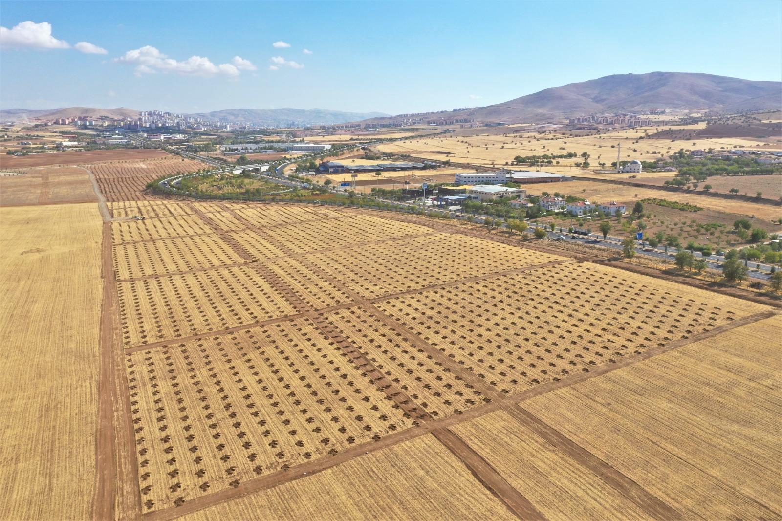 Sürmanşet Foto Hastaneni̇n Yapilacaği Yer