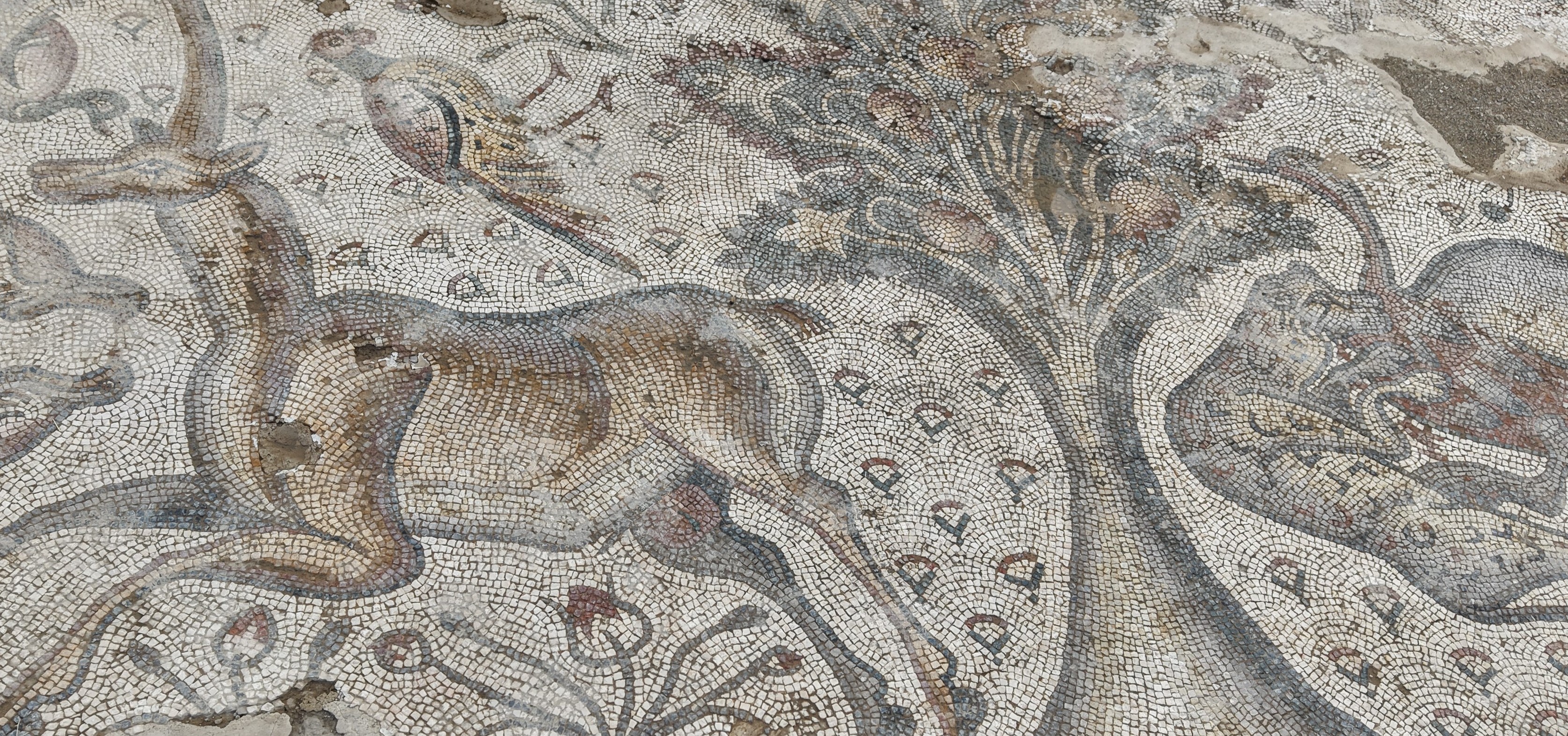 A W531806 04
