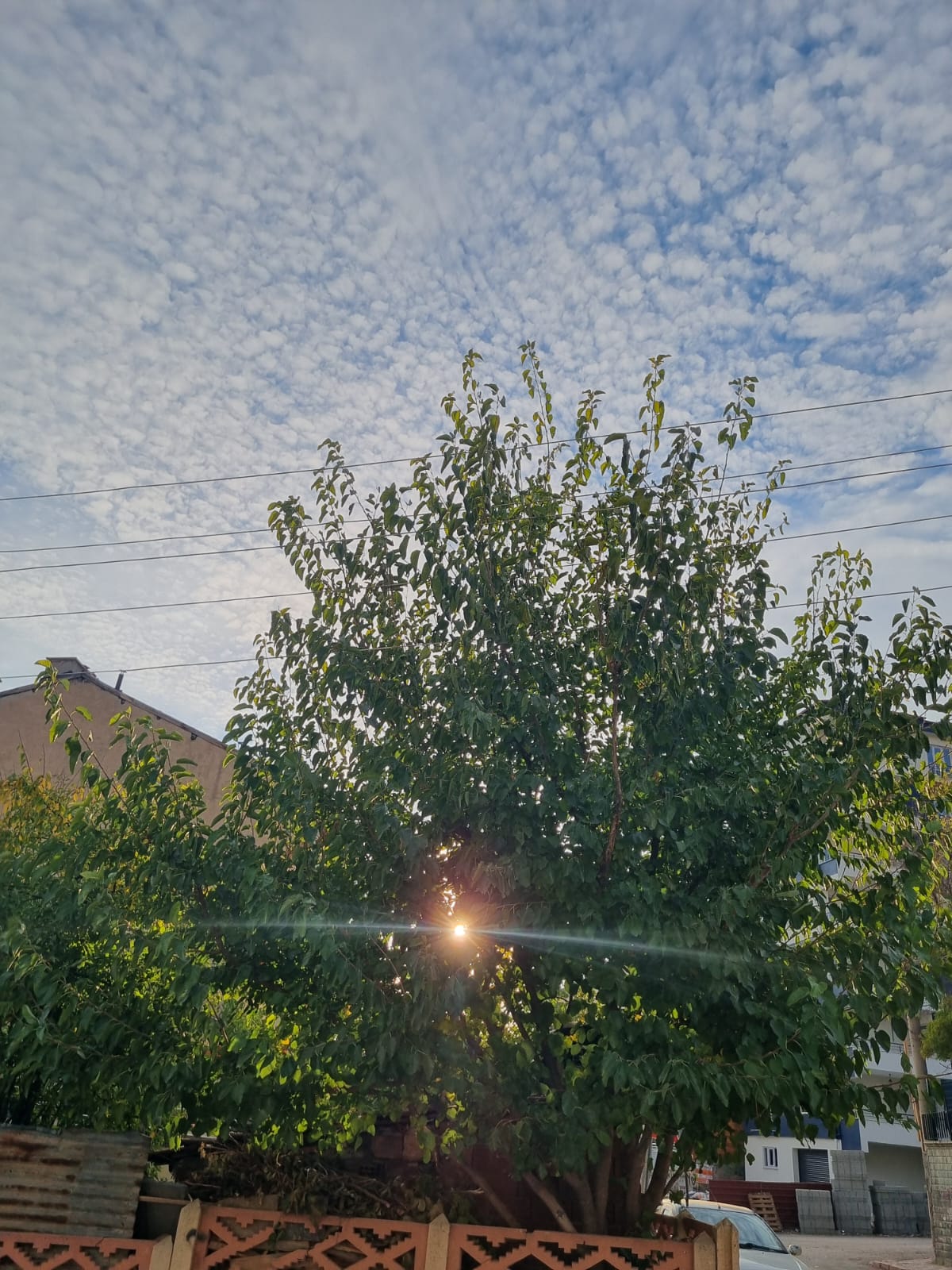 B9Ba0F41 B4F9 438E A8Dd 4Ed8066129F1