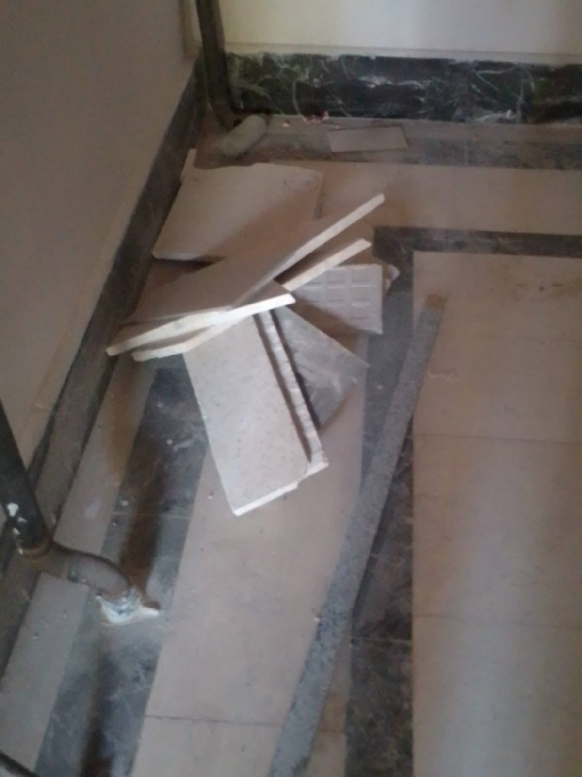 85E74Ea5 08B9 4867 8545 Ecccb71F918D