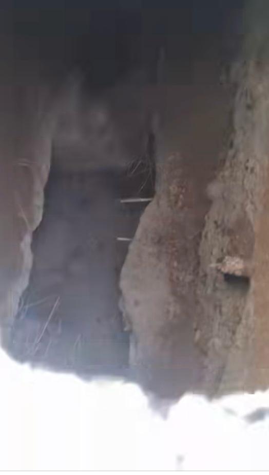 377160Bf F6E3 4Bd5 Bd20 40F427C2Fdf2