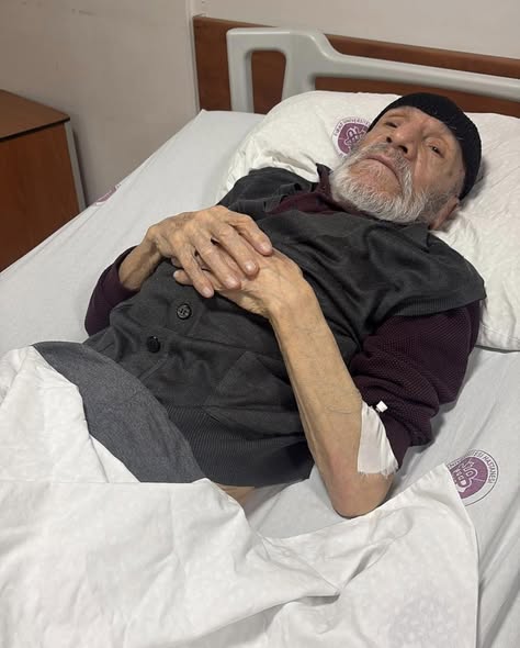 641165866 10164926841369218 3498526899807007683 N