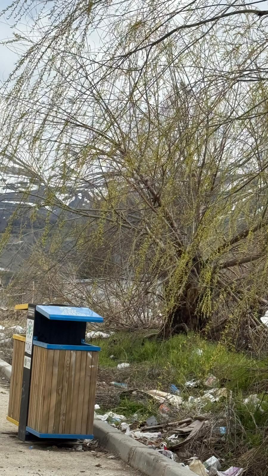 Whatsapp Image 2026 04 13 At 12.45.39 (1)