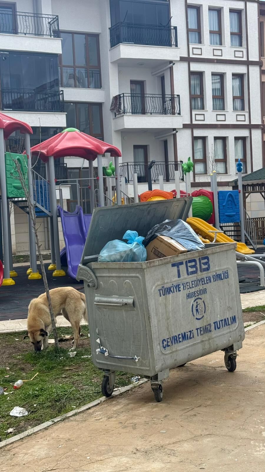 Whatsapp Image 2026 04 13 At 12.45.39 (2)