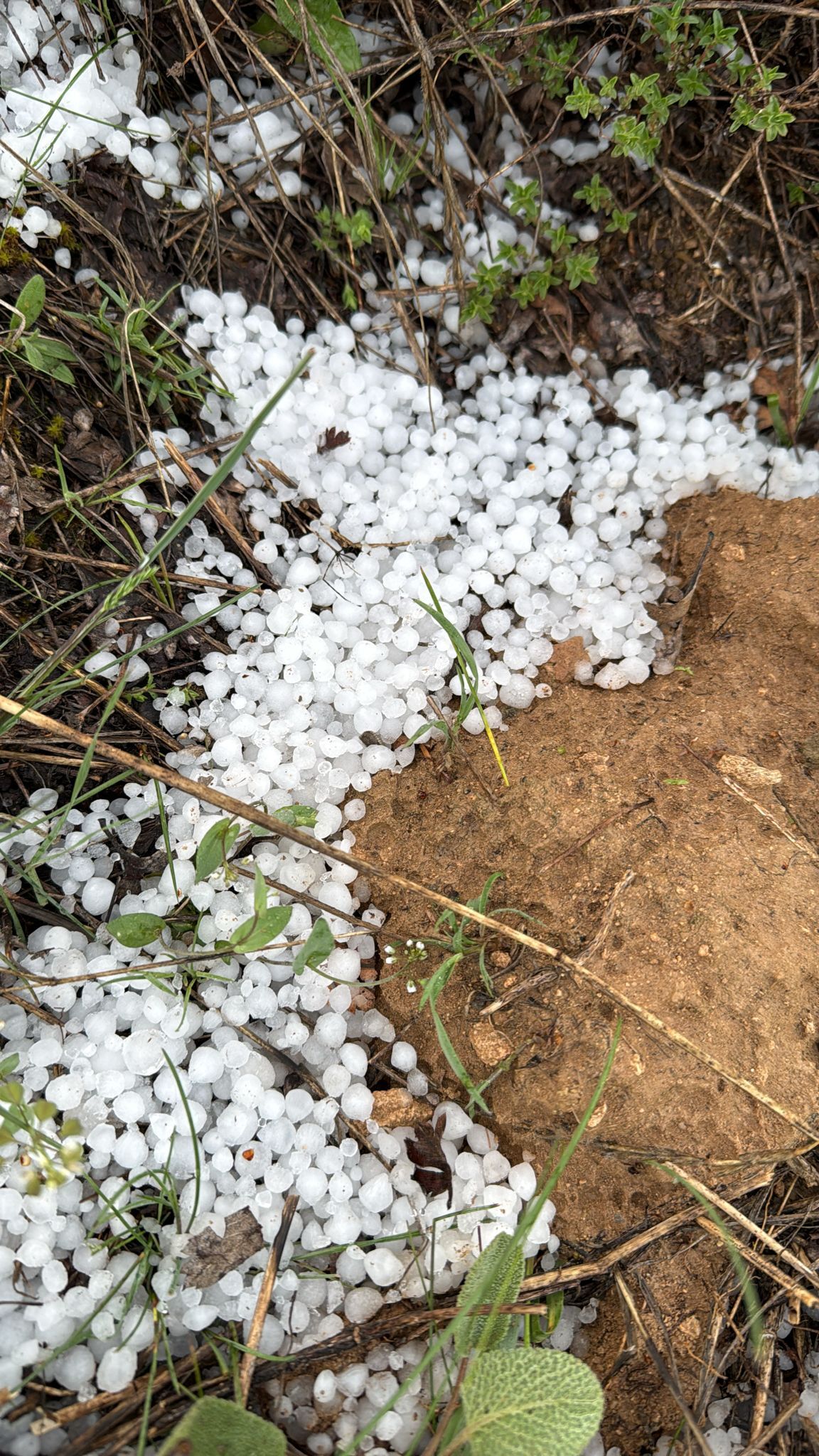 Whatsapp Image 2026 04 29 At 20.48.30 (1)