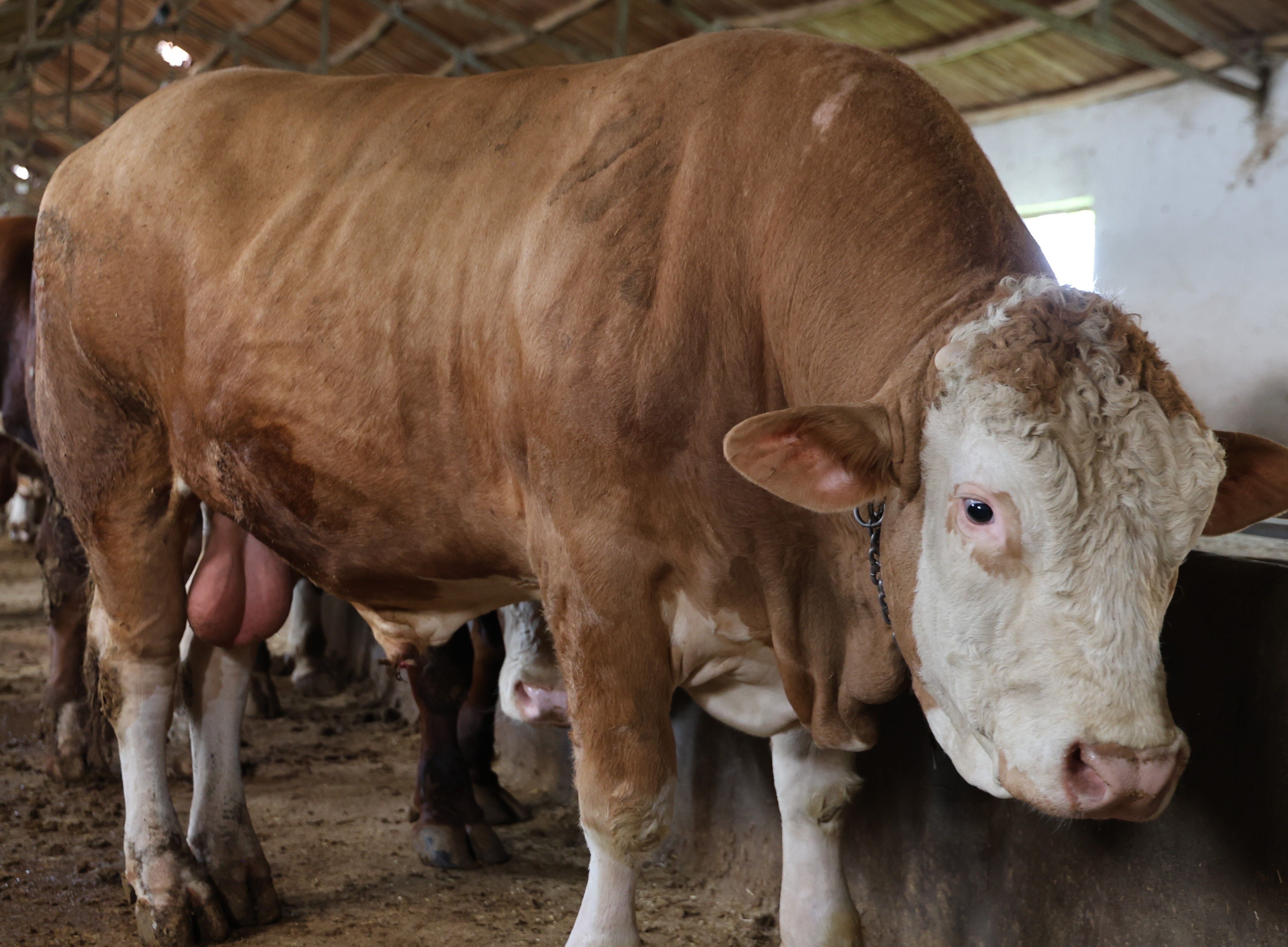 A W706695 02